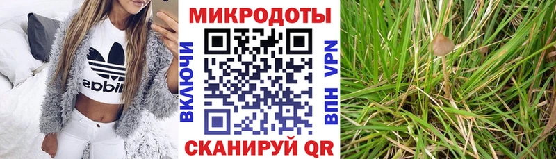 где можно купить наркотик  Ливны  Псилоцибиновые грибы мицелий 