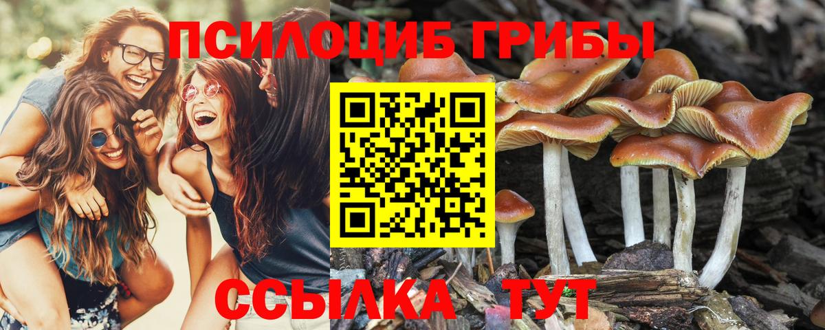 Псилоцибиновые грибы GOLDEN TEACHER Ливны