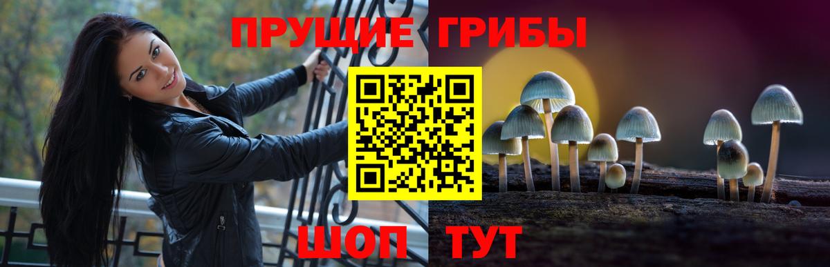 Галлюциногенные грибы мицелий  цены наркотик  Ливны 